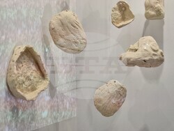 Варна - форум „Буна“ - изложба „Заземяване“