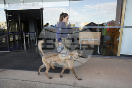 Brazil Bolsonaro Trial