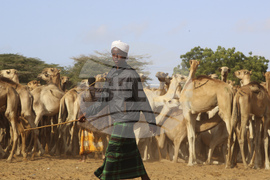 Somalia Prophet Birthday