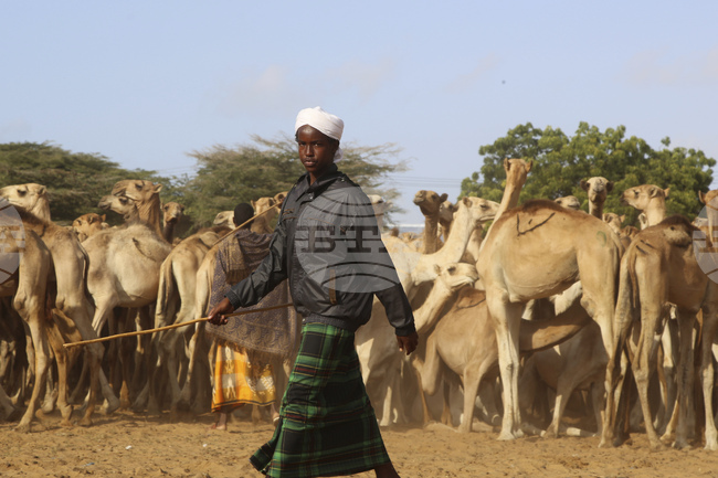Somalia Prophet Birthday