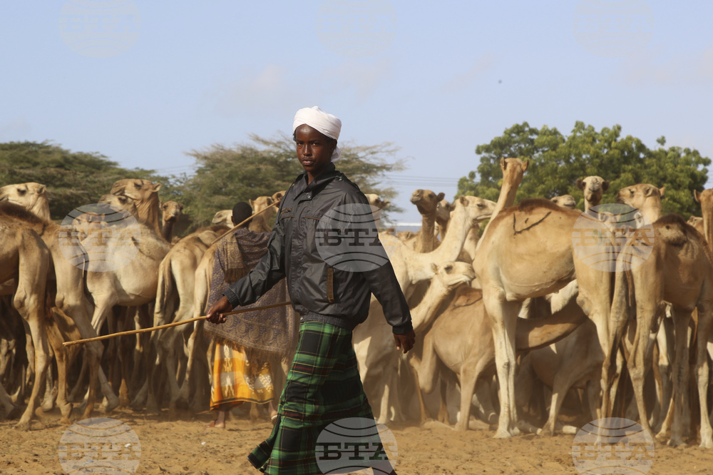 Somalia Prophet Birthday