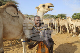 Somalia Prophet Birthday