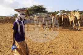 Somalia Prophet Birthday