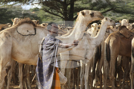 Somalia Prophet Birthday