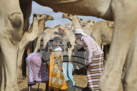 Somalia Prophet Birthday