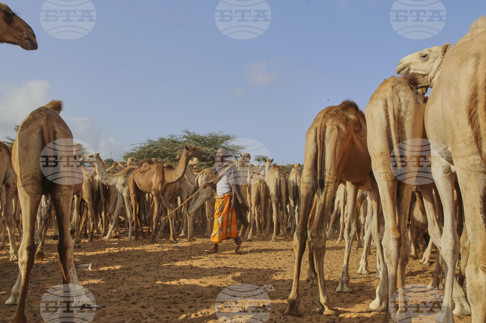 Somalia Prophet Birthday