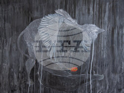 Американската група Kayo Dot гостува в София на 4 септември, снимка – „Аларма пънк джаз“ 