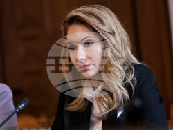 Народно събрание - Комисия за прякото участие на гражданите, жалбите и взаимодействието с гражданското общество - заседание