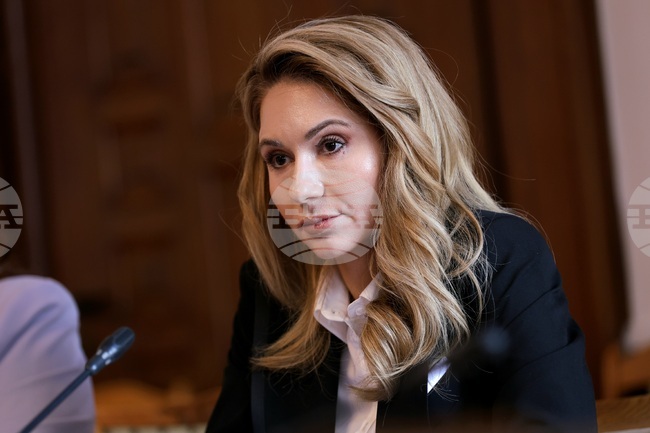 Parliamentary Committee Hears Deputy Ombudsman Candidate Maria Filipova