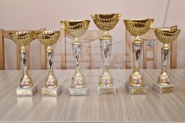 Разград - учители - награди