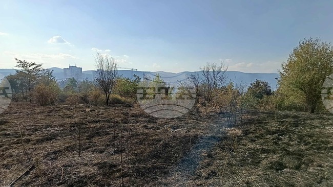 Пожар гори в района на Мемориалния комплекс „Бранителите на Стара Загора“ 