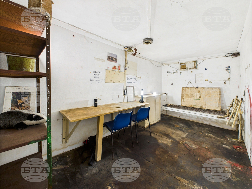 Britain Bunker for Sale