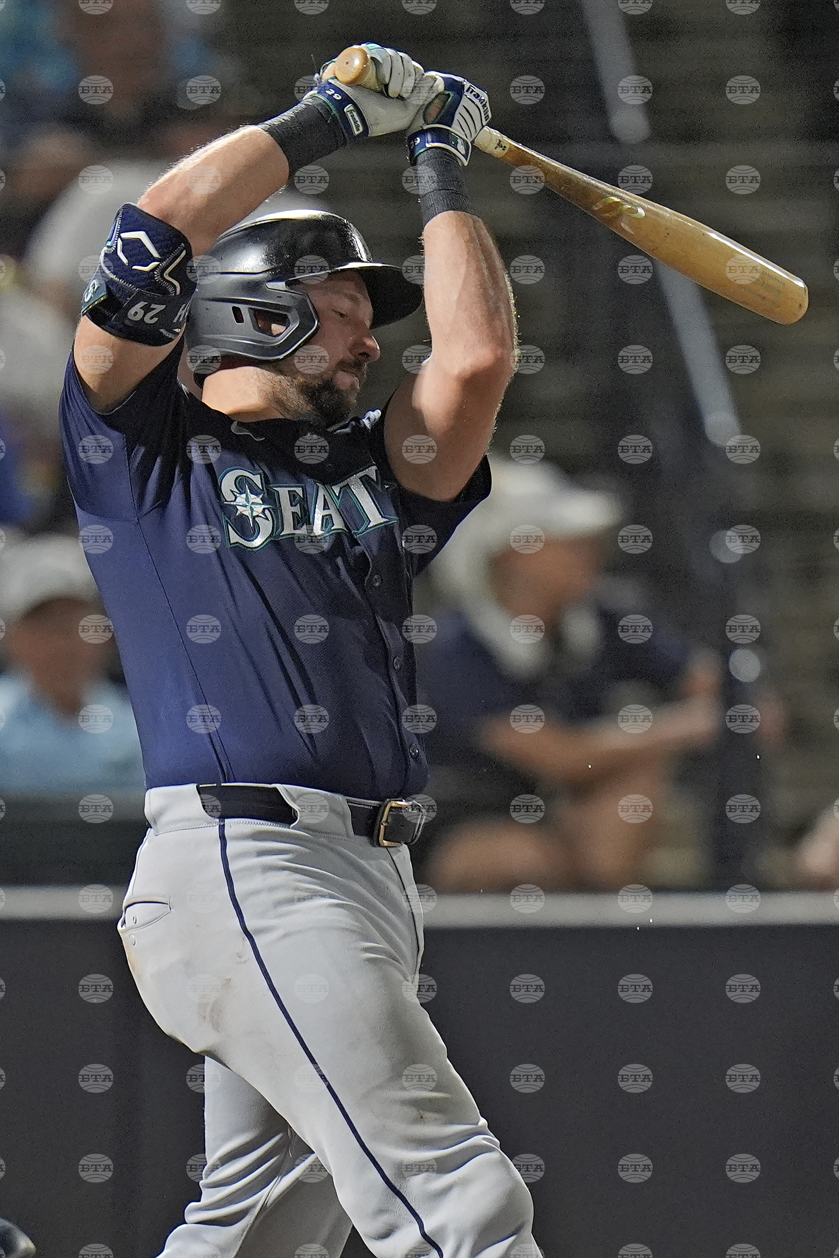 Mariners Rays Baseball