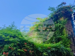 Турция - Анталия - Стария град