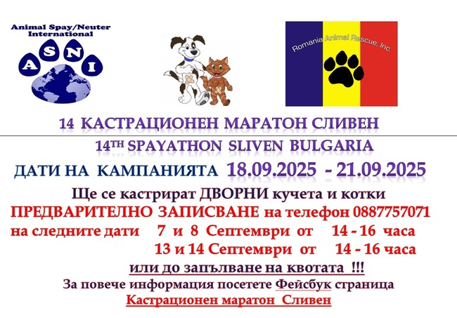 В Сливен започва XIV кастрационен маратон на дворни кучета и котки