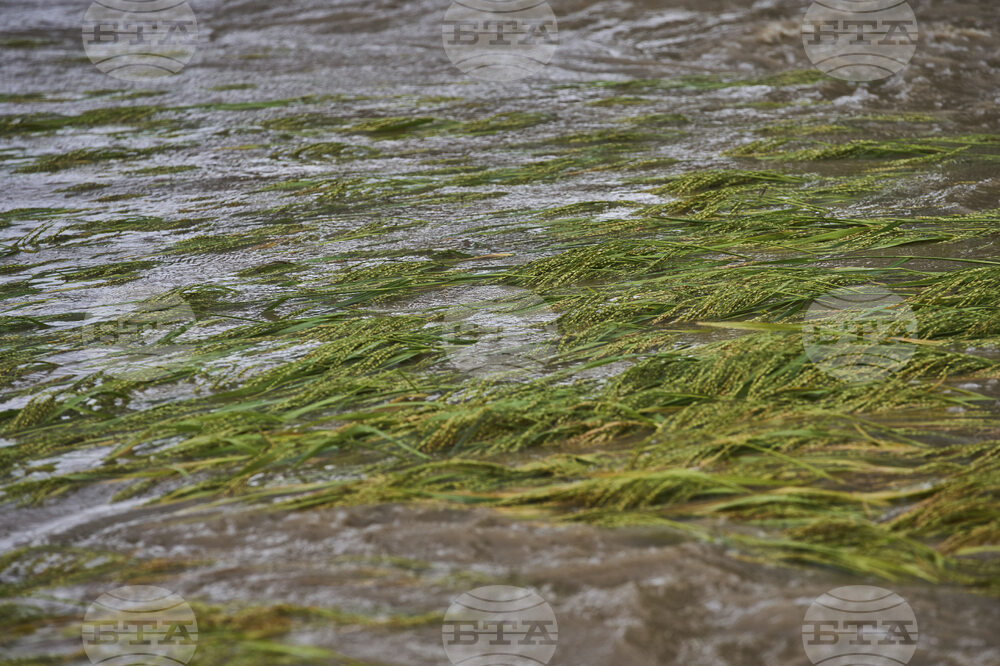 India Kashmir Extreme Weather