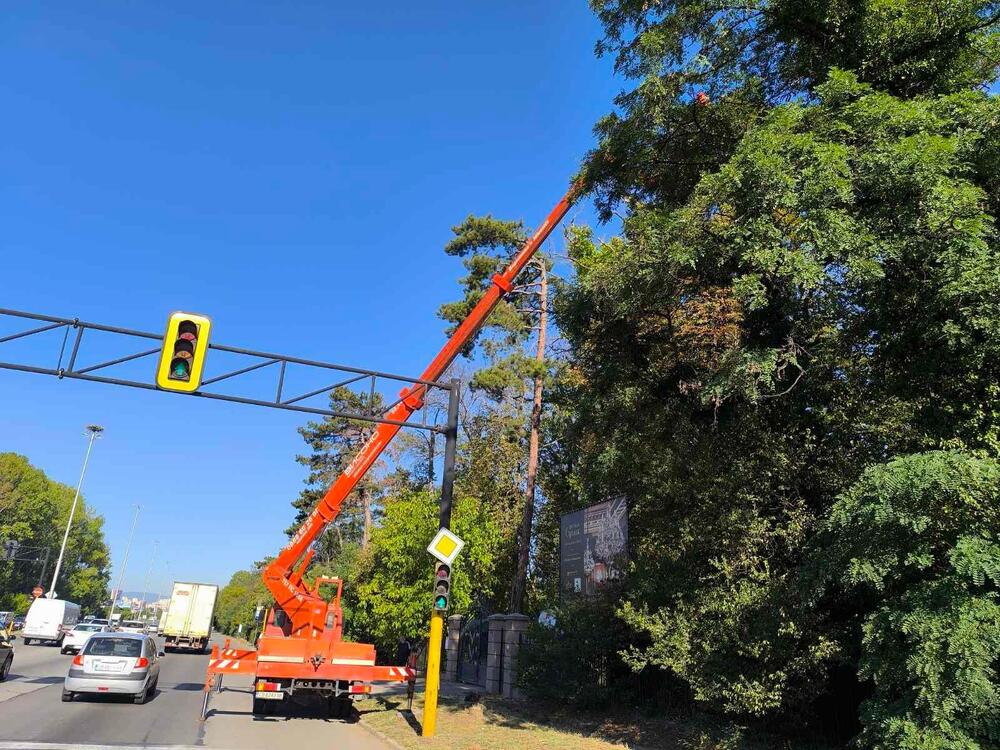 Министерството на земеделието е съдействало на Областна администрация София-град за премахване на изсъхнали и опасни дървета в района на парк "Врана"