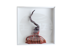 Изложбата „Културни номади“ представя новите попълнения към колекцията „Хербариум“ в Българския културен институт в Берлин. Снимка: организаторите