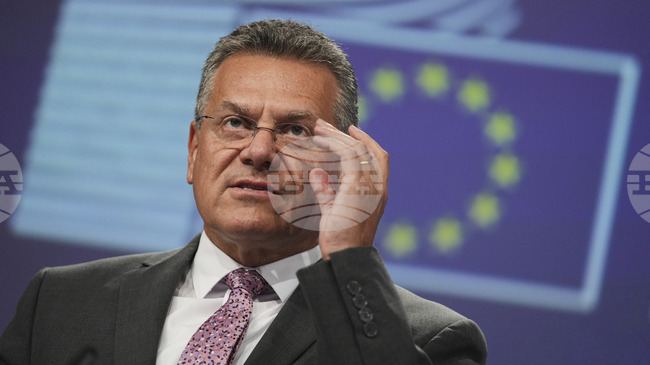 ЕС и Китай създадоха специален канал за комуникация за осигуряване на доставките на редкоземни елементи, заяви евроскомисар Шефчович