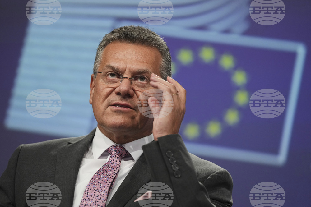 ЕС и Китай създадоха специален канал за комуникация за осигуряване на доставките на редкоземни елементи, заяви евроскомисар Шефчович