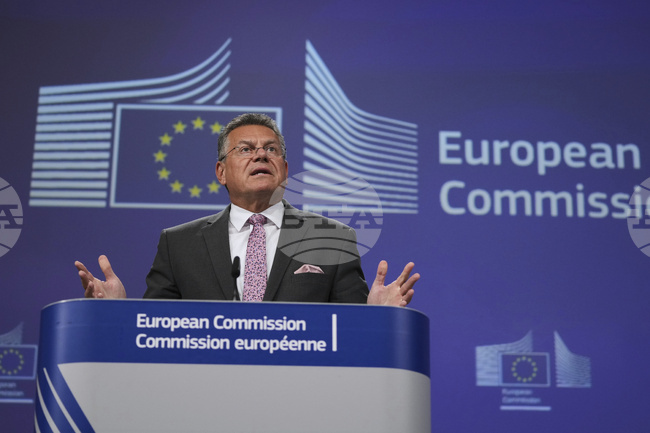 Еврокомисарят по търговията Марош Шефчович ще се срещне с Ван Вънтао за намиране на решение за износа на редкоземни елементи