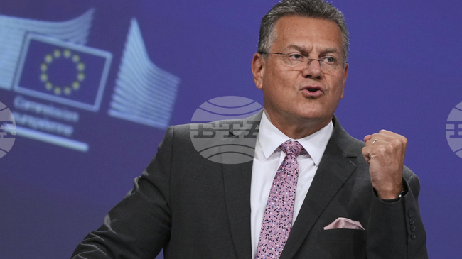 Отлагането на ограниченията върху износа на редкоземни елементи ще важи и за ЕС, заяви евроскомисар Шефчович