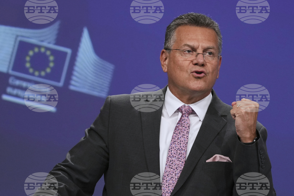 Отлагането на ограниченията върху износа на редкоземни елементи ще важи и за ЕС, заяви евроскомисар Шефчович