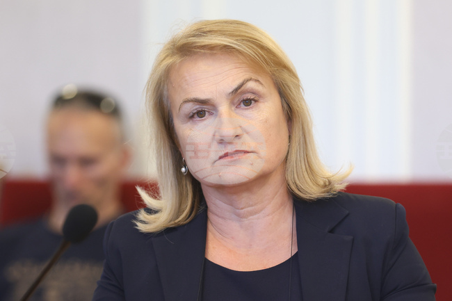 Interior Minister Mitov Should Bear Shame of His Ministry’s Inadequate Actions, Says Velichie MP Katincharova 