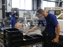 Благоевград - „Ванико“ ООД - работна ръка