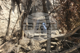 Afghanistan Earthquake