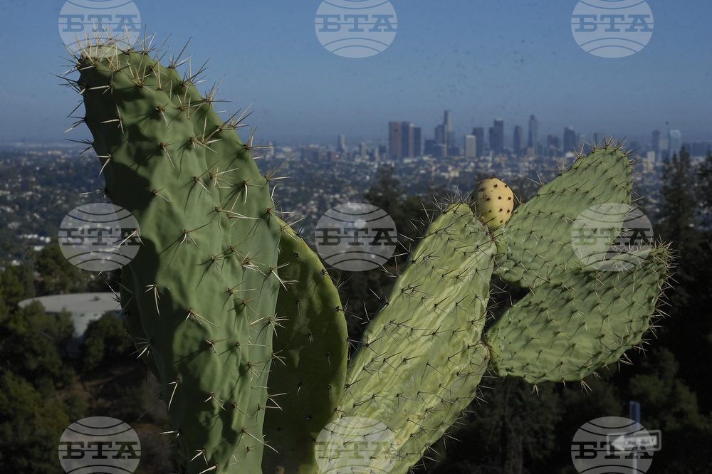 Extreme Weather California Heat