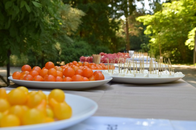 Специални сортове български домати бяха представени в Деня на доматите в Будапеща