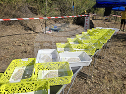 Местност Скумсале - шампионат по ориентиране