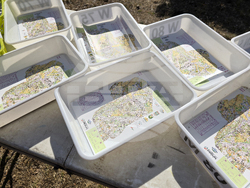 Местност Скумсале - шампионат по ориентиране