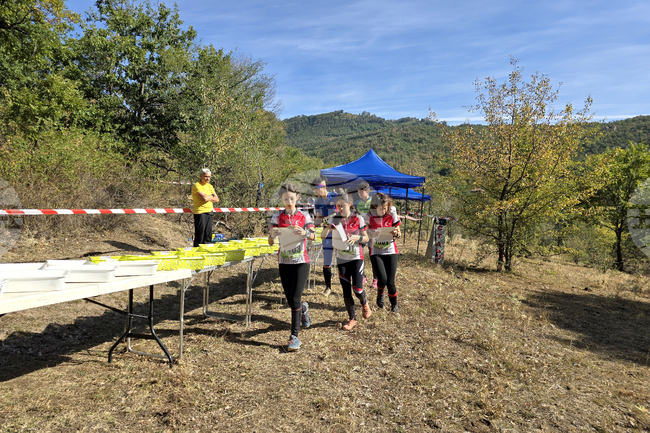 Местност Скумсале - шампионат по ориентиране