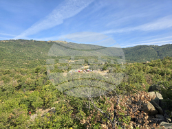 Местност Скумсале - шампионат по ориентиране