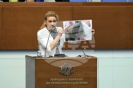 Парламент - заседание