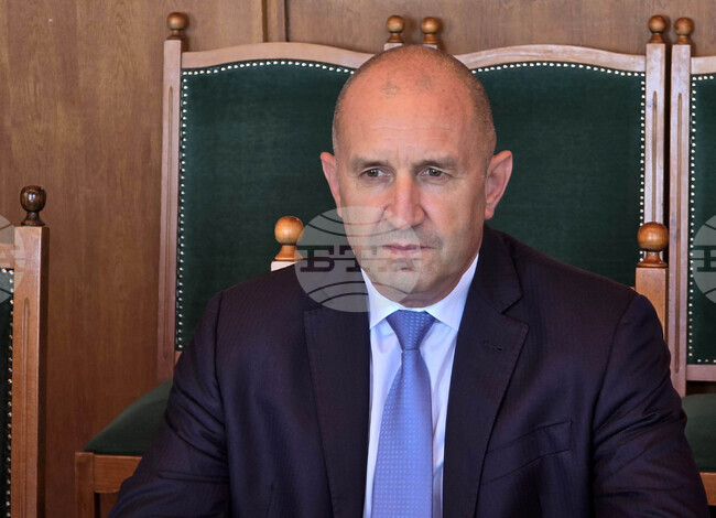 President Radev to Meet Leadership of German Federal Association for Economic Development and Foreign Trade