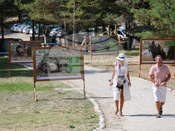 Парк за мечки Белица - фондация „Четири лапи“ - годишнина