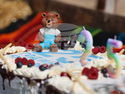 Парк за мечки Белица - фондация „Четири лапи“ - годишнина