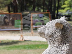 Парк за мечки Белица - фондация „Четири лапи“ - годишнина