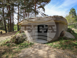 Парк за мечки Белица - фондация „Четири лапи“ - годишнина