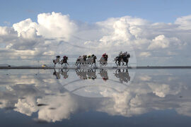 Ireland Laytown Races