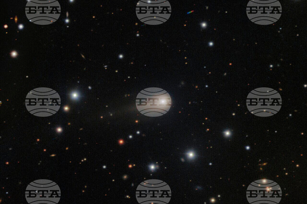 Interstellar Comet