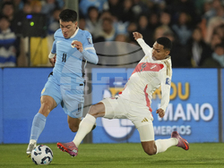 Uruguay Peru WCup Soccer