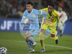 Uruguay Peru WCup Soccer