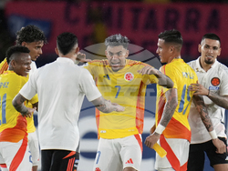 Colombia Bolivia WCup Soccer