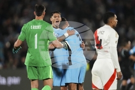 Uruguay Peru WCup Soccer