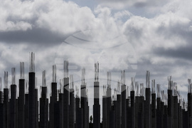 Pictures of the Week Latin America and Caribbean Photo Gallery