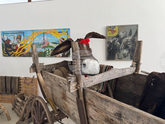 Градският стадион в Гурково е домакин на единственото по рода си био рали с магарешки каручки